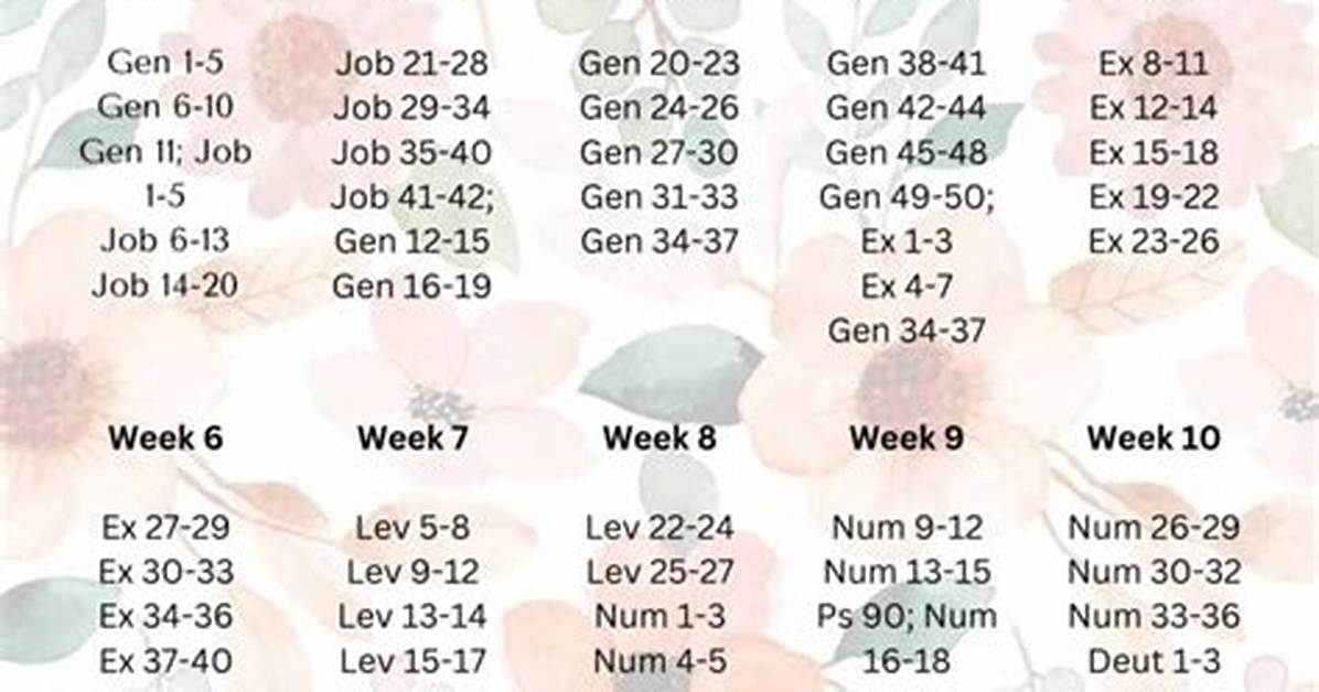5 Proven Bible Reading Pathways Compared: Which Sequence Fits Your Pace?