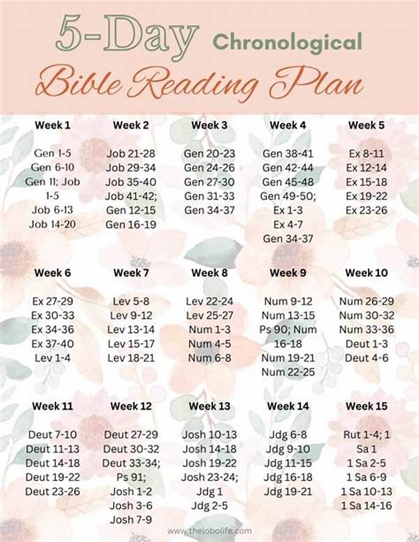 5 Proven Bible Reading Pathways Compared: Which Sequence Fits Your Pace?