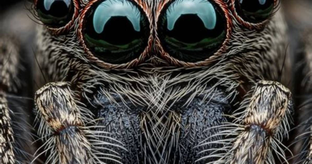 A Close Look at Yololary's Spider-Man Suit: Materials, Lenses, and Fit