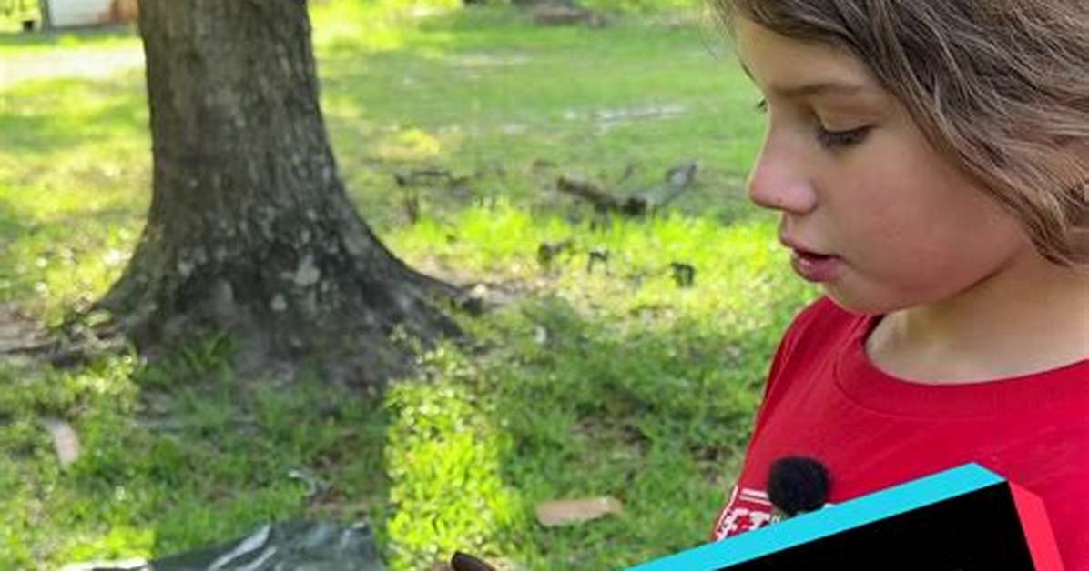 Adelynn's Plant Rescue Secrets: How to Find, Revive, and Save Dying Clearance Plants