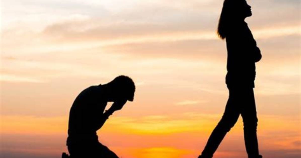 After the Breakup I Married a Top Tier Husband: Complete Faq, Synopsis, and Character Profiles