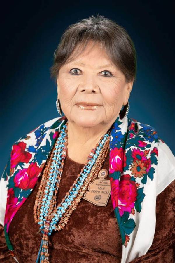 Are the Arizona Mae Images Real? Sorting Authenticity from Coordinated Web Scams