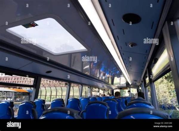 Are Upper Deck Seats Worth It? the Truth About Stanford Stadium Concert Sightlines and Audio