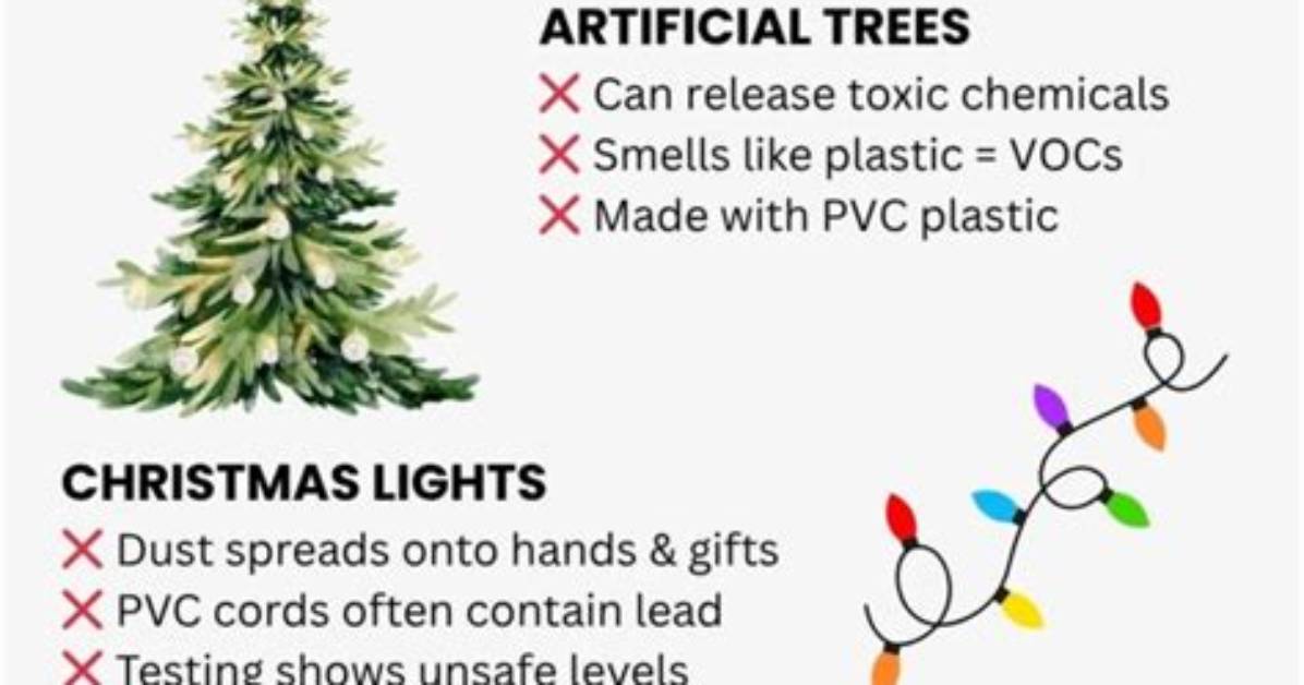 Are Zyn Christmas Lights Safe? Heat Risks, Fire Hazards, and What to Know