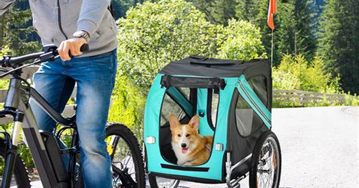Can Any Bike Pull a Dog Trailer? Hitch Compatibility Fact-Check