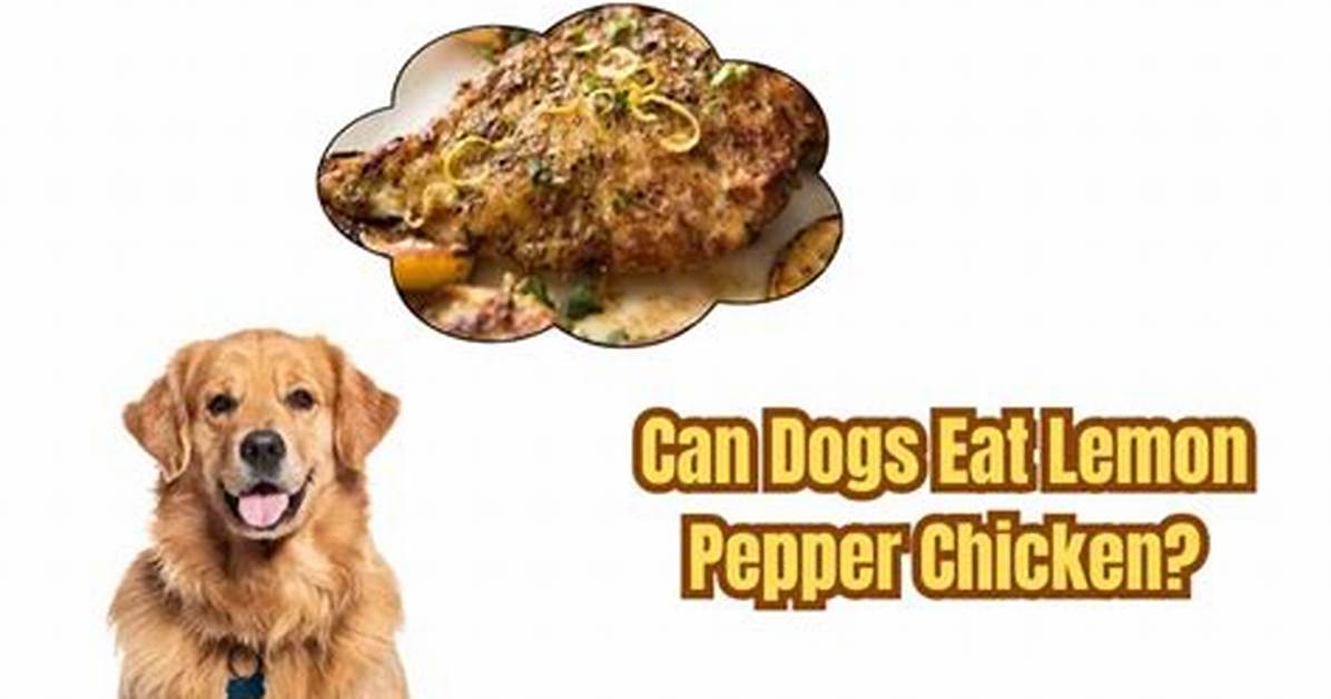 Can Dogs Eat Lemon Pepper Chicken? Ingredient Breakdown and Veterinary Warnings