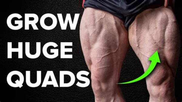 Can You Actually Build Huge Quads at Planet Fitness? the Leg Extension Truth