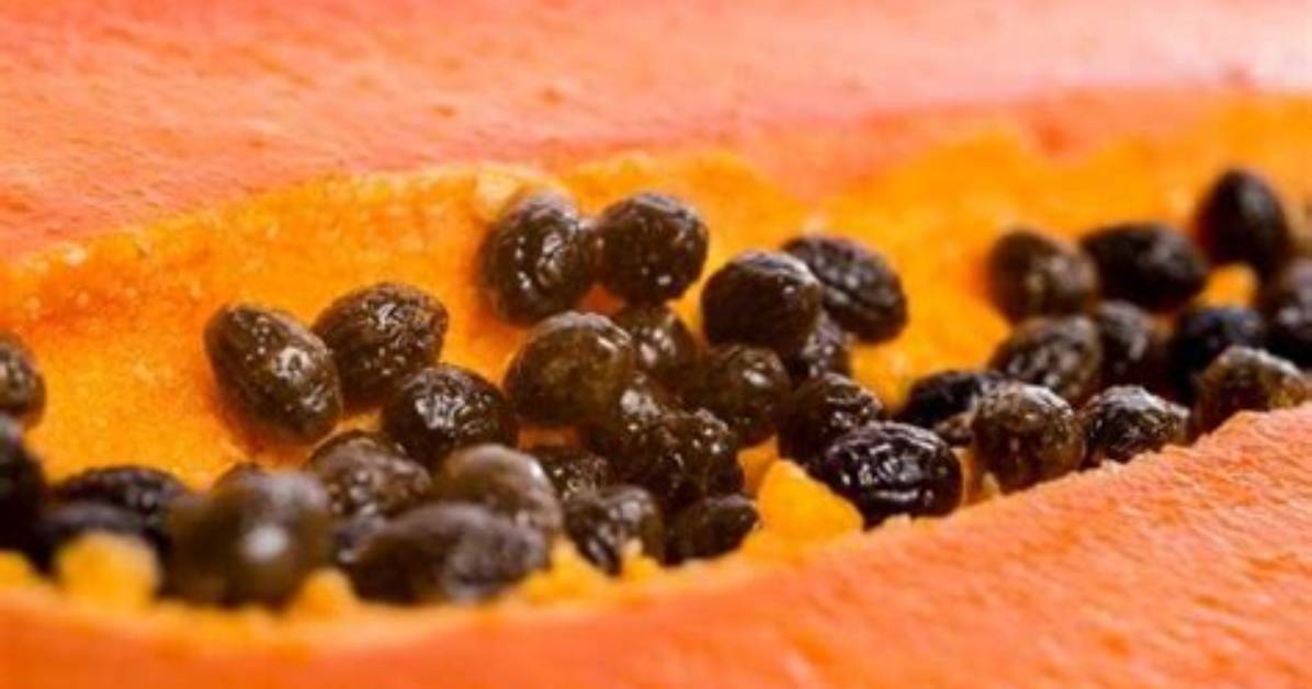 Can You Actually Eat Papaya Seeds? the Truth Behind Digestive Myths and Gut Health Claims