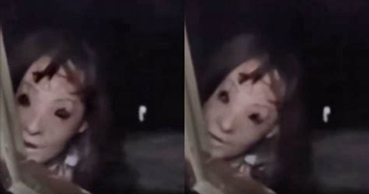 Caught on Camera: Listen to the Unsettling 'Laughing' Call of Urban Coyotes