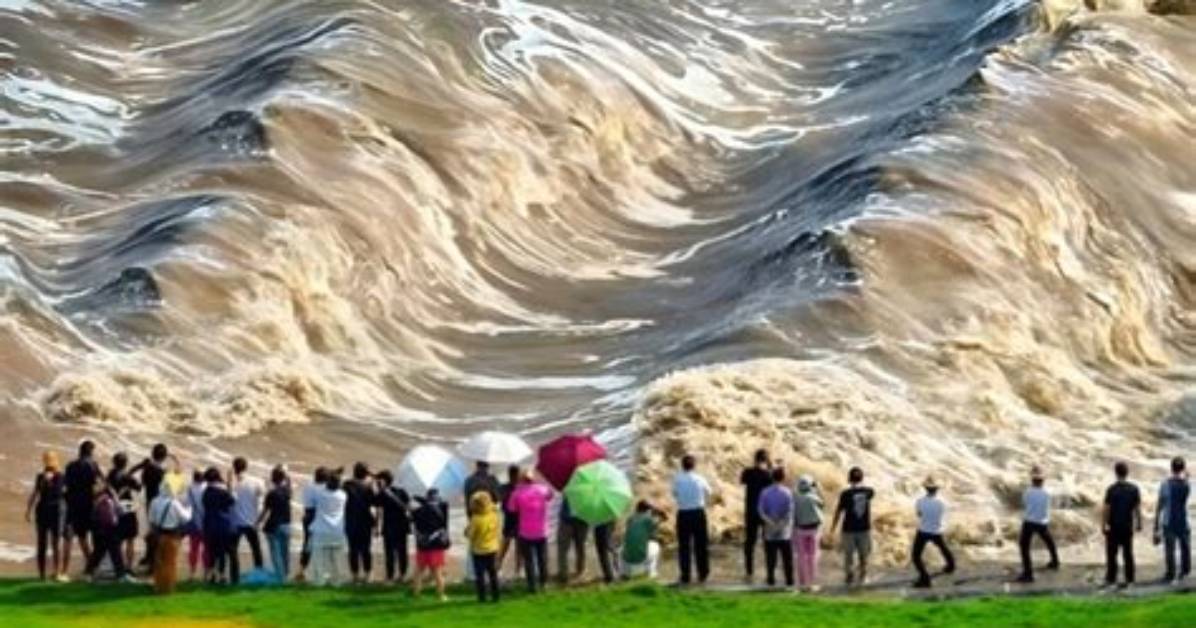 Caught on Camera: the Most Unforgettable and Extremely Funny Faces Ranked