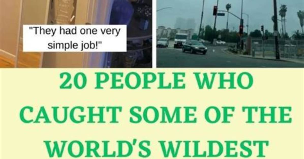 Caught on Camera: the Wettest, Wildest Hot Dog Stunts Sweeping the Web