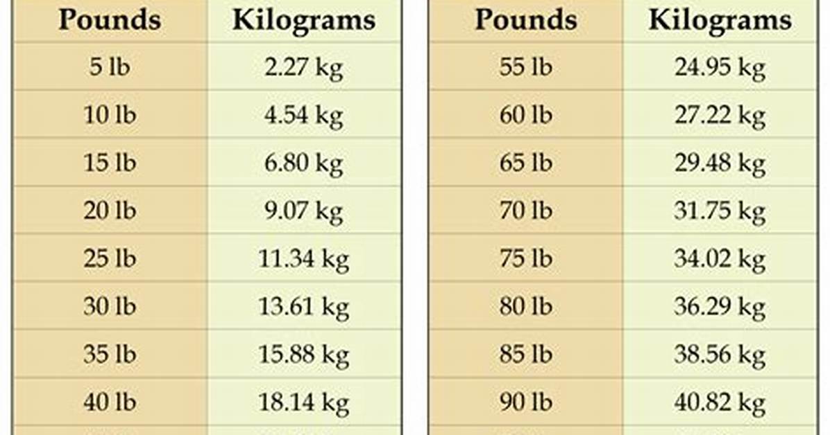 Complete 200 Pounds to Kilos Guide: Conversions, Fitness, and Division Rules
