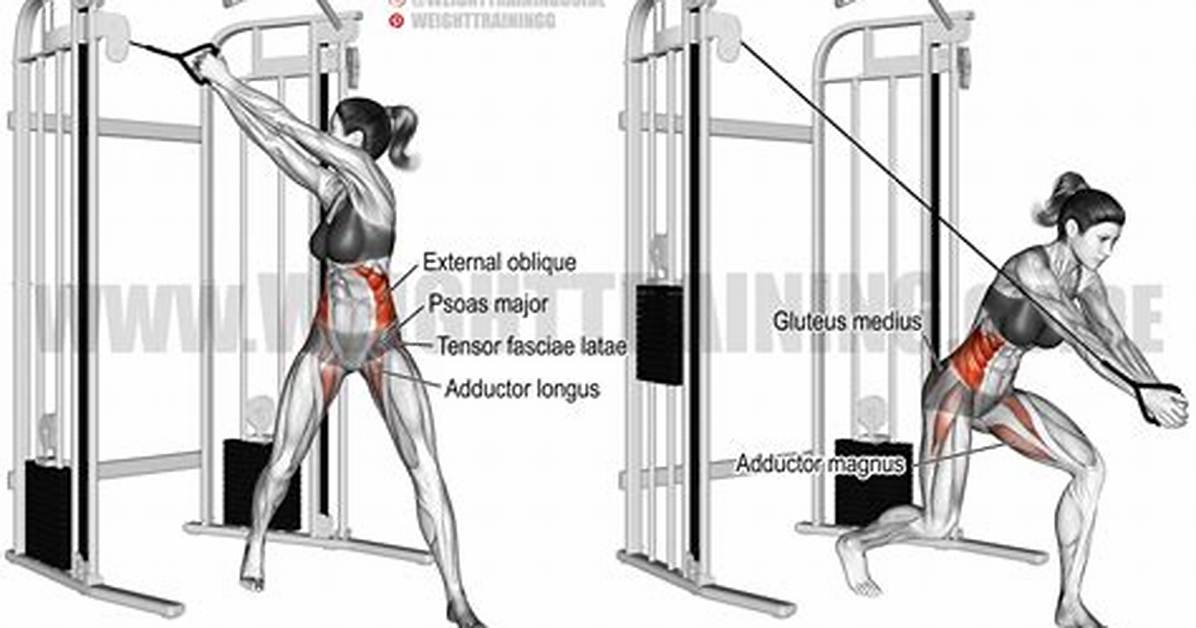 Complete Cable Woodchop Masterclass: Variations, Sets, Reps, and Safety Tips