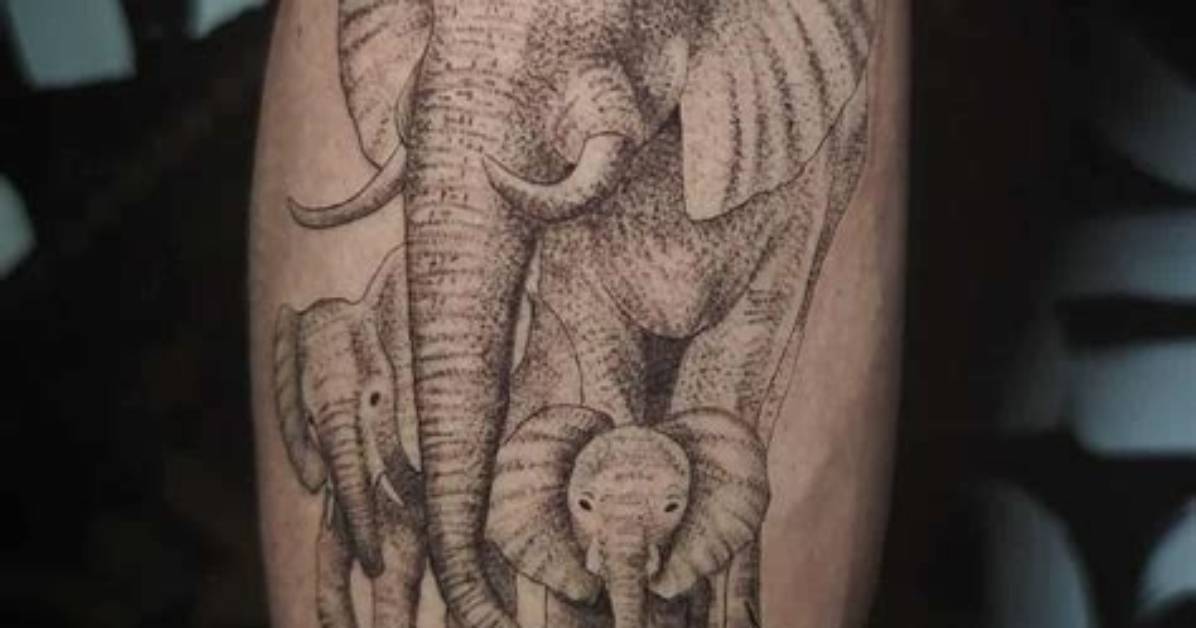 Complete Guide to Elephant Tattoo Meanings: Family, Wisdom, and Design Ideas