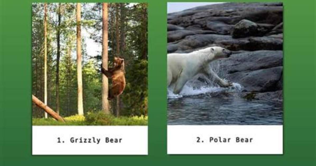 Complete Guide to Wolf Predators: What Animals Kill and Eat Wolves?