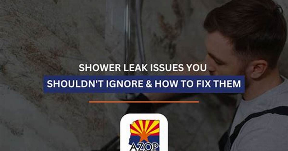 Complete Shower Leak Guide: Lessons from the Viral Mold and Bracing Fix