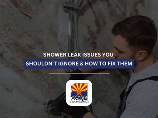 Complete Shower Leak Guide: Lessons from the Viral Mold and Bracing Fix
