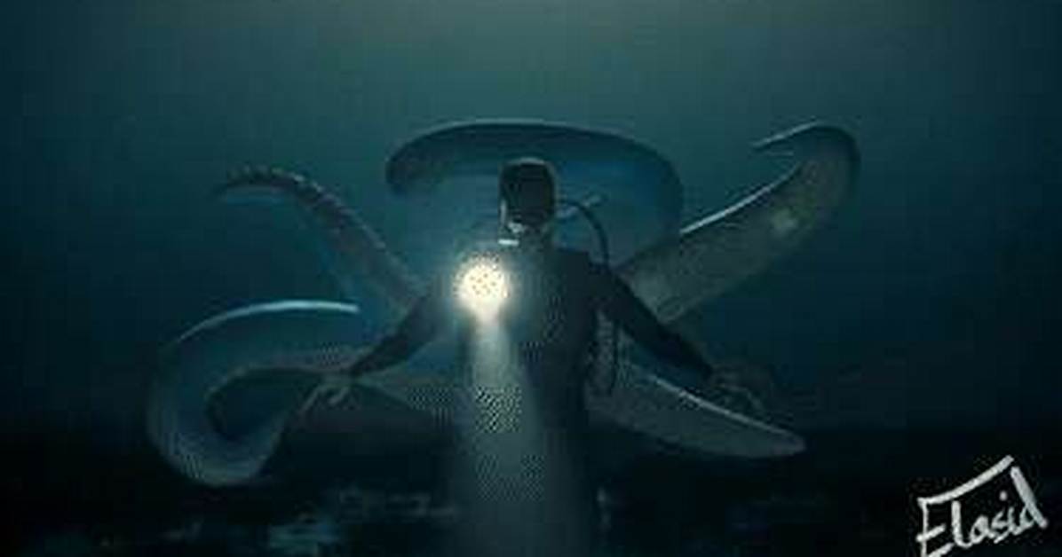 Decoding 'Release the Kraken Elasid': Screenshots, Clips, and Online Clues
