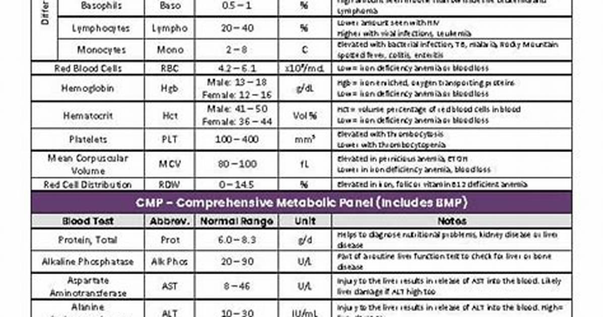 Decoding Your Lab Sheet: Normal Agap Reference Ranges and How to Read Anion Gap Results