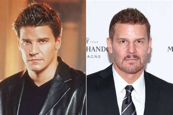 Did David Boreanaz Ever Serve in the Military? the Truth Behind the Seal Team Star