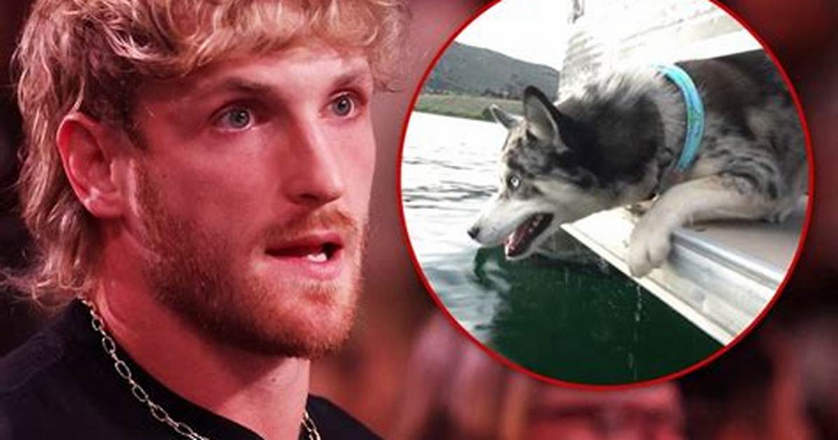 Did Logan Paul Push His Dog off a Speeding Boat? Inside the Resurfaced Clip Outrage