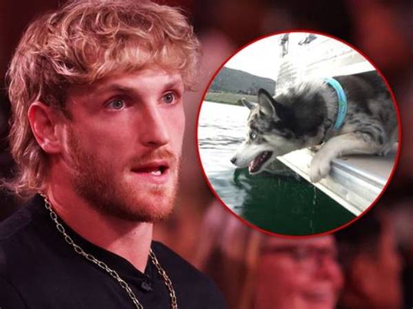 Did Logan Paul Push His Dog off a Speeding Boat? Inside the Resurfaced Clip Outrage
