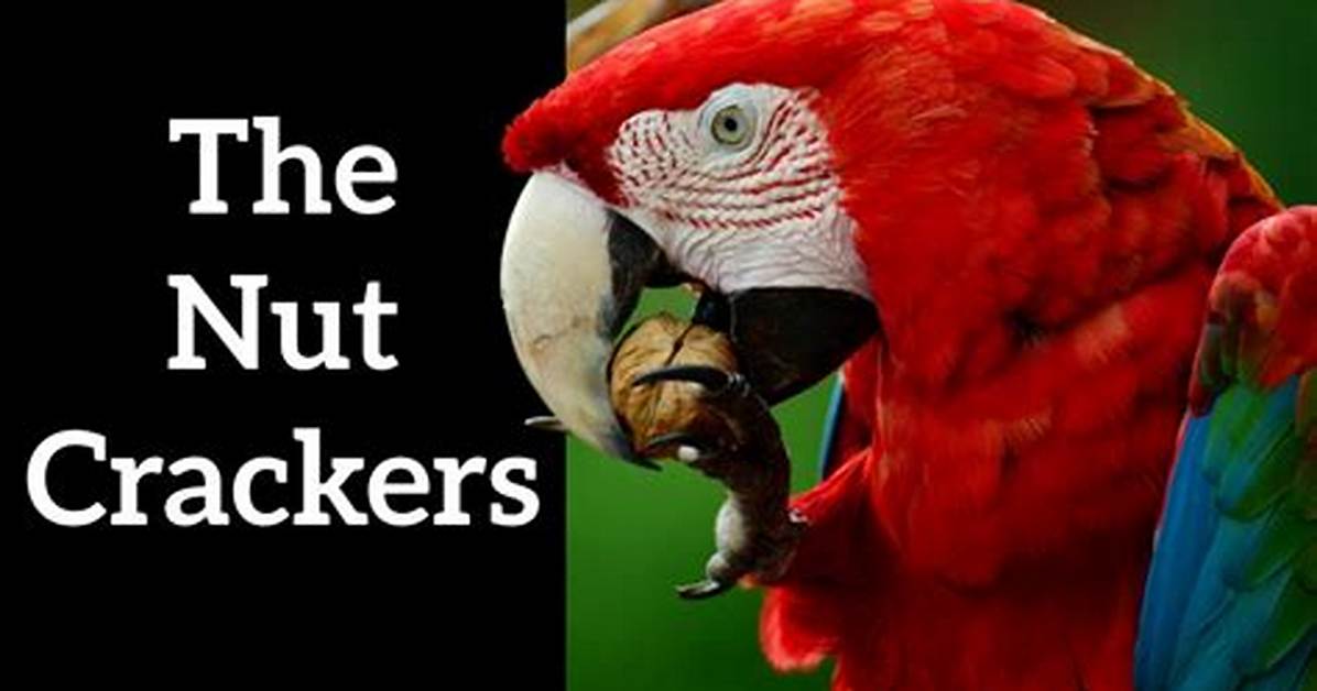Do Parrots Actually Want Crackers? Science Explains What Birds Really Say