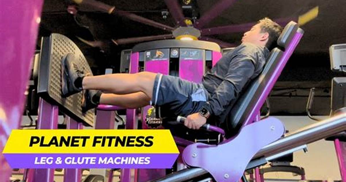 Does Planet Fitness Actually Have a Glute Kickback Machine? the Real Floor Setup Revealed