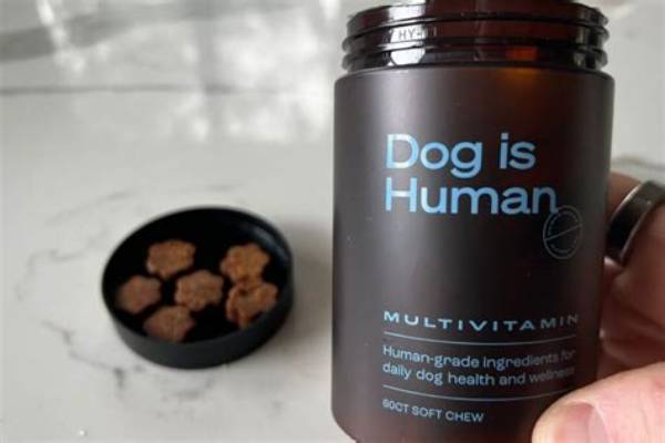 Dog Is Human Multivitamin Review: Does This All-in-One Chew Actually Work?