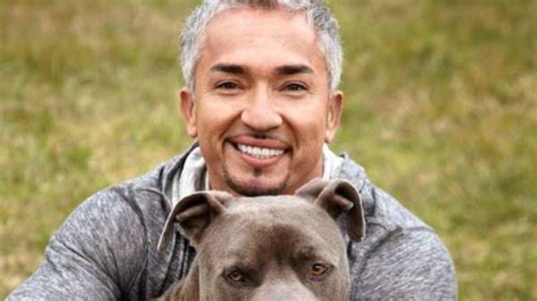 Dog Whisperer Tragedy Fact Check: Debunking Viral Claims and Lethal Attack Rumors