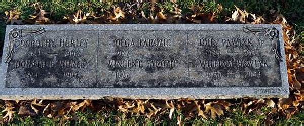 Dorothy Pawlyk Hurley: How a Private Citizen Became a Viral Web Mystery
