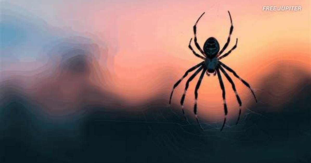 Everything Science Got Wrong About Spiders: the Evolution of Arachnid Myths