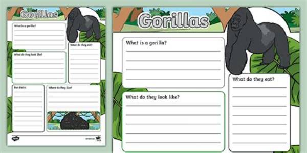 Fact Check: Do Gorillas Know What Flipping the Bird Means, or Is It an Accident?