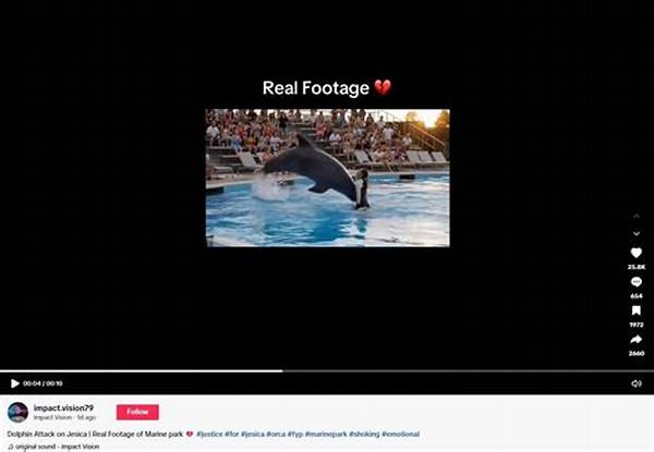 Fact Check: Does a Real Dolphin Boarding School Exist, and Where Did the Rumor Start?