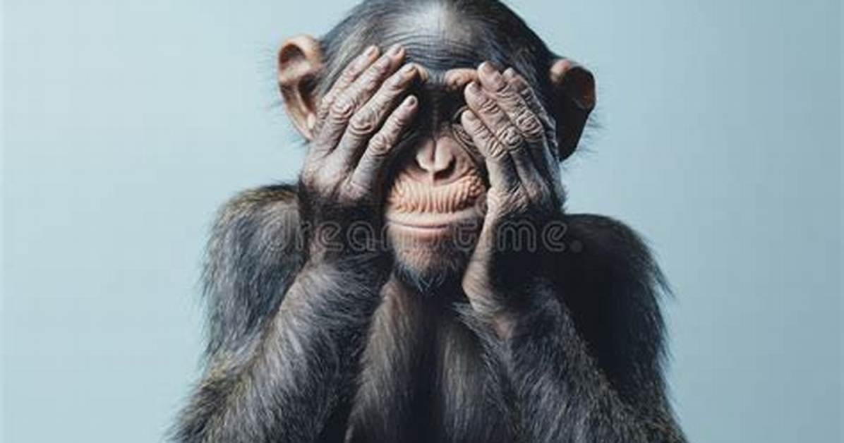 Fact Check: Is the Monkey Covering Eyes Emoji with 'Thanks' Flirting, Politeness, or an Inside Joke?