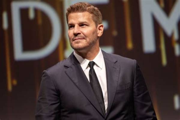 Fact-Checking David Boreanaz’s Military Record: Hollywood Myth Vs. Uso Global Ambassador Truth