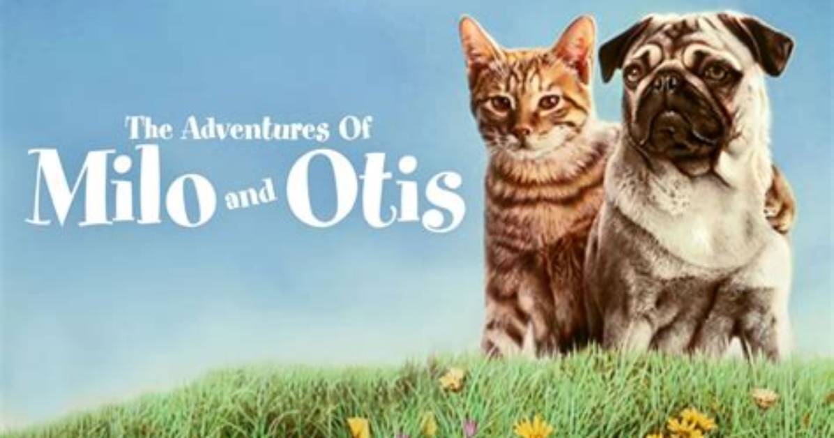 Fact-Checking Milo and Otis: Separating Viral Cruelty Myths from Verified on-Set Facts