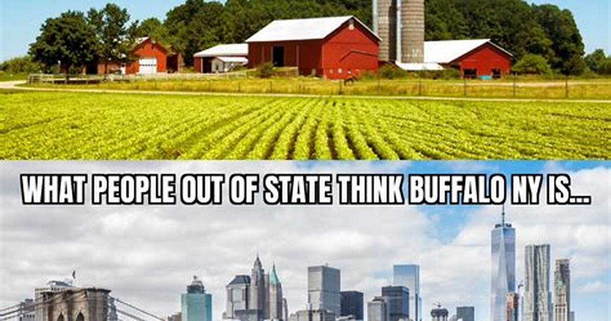 Fact-Checking New York Memes: Sifting Reality from Digital Hype and Financial Traps