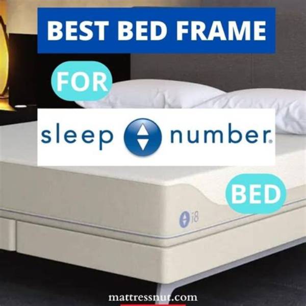 Fact-Checking Sleep Number Bed Frame Compatibility: What Actually Works?