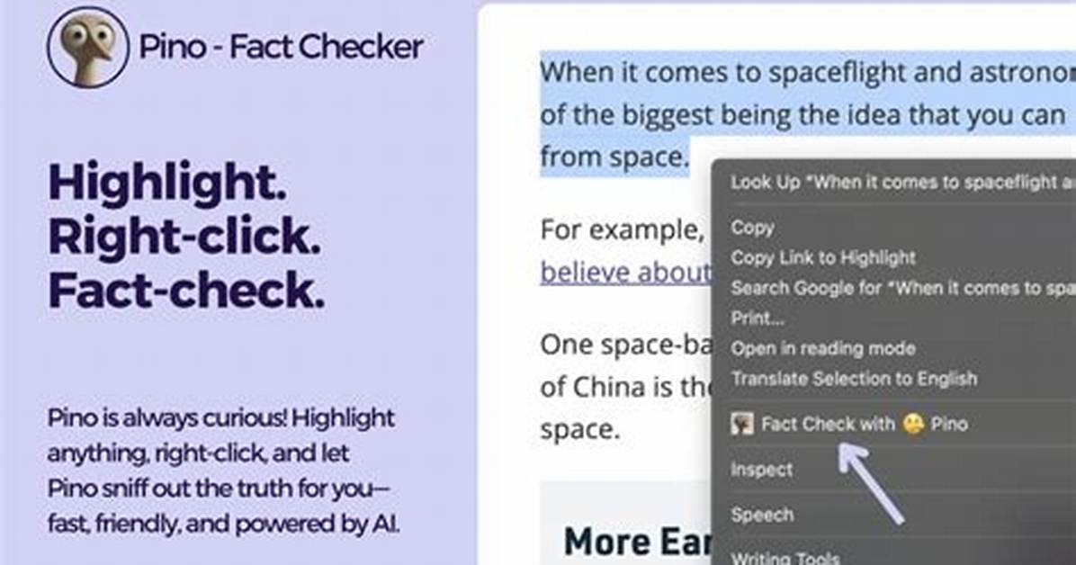 Fact-Checking the Heta Woodard Trend: the Reality Behind the Search Surge