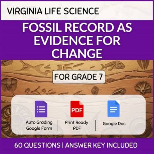 Fossil or Fiction? Visual Evidence and Provenance Behind the Tasha T-Rex Mystery