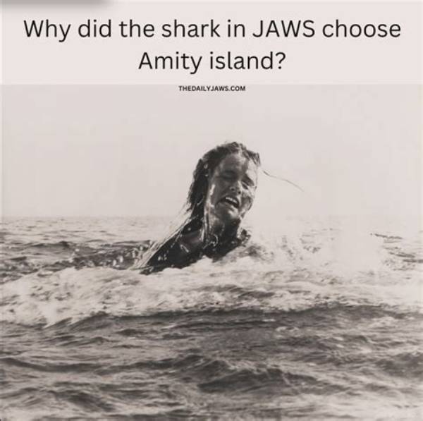 From Amity Island to the Wilderness: Why 'Jaws' Star Jay Mello Left Hollywood for Good