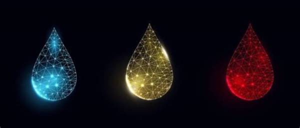 From Low-Poly Graphics to Frame Drops: Visual Proof of What Kaku-Kaku Represents