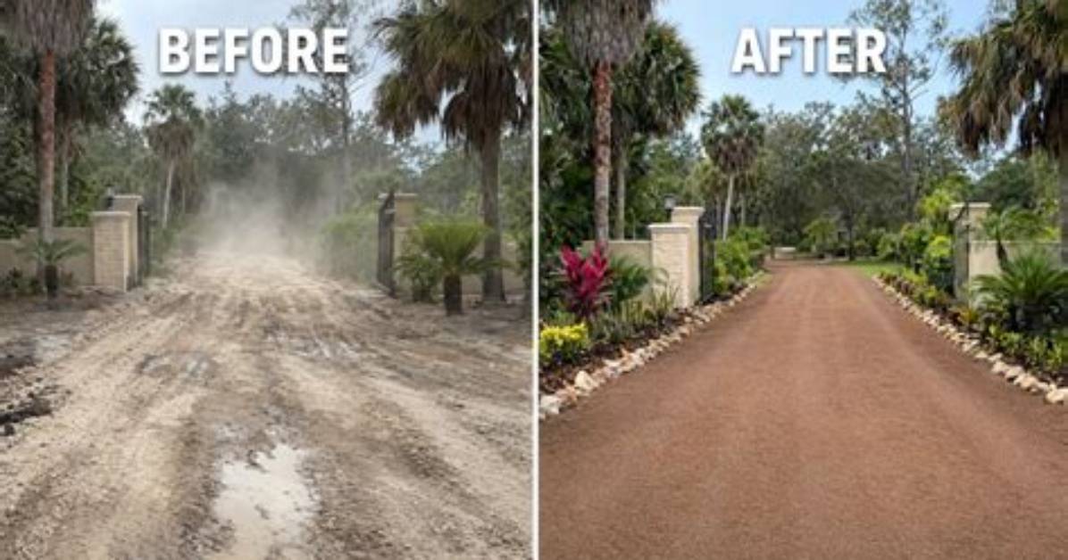 From Pavement to Forest: How Rutgers Transformed Livingston Campus Land
