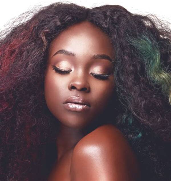 From Susy Oludele to 2026: the Complete Evolution of Lemonade Braids