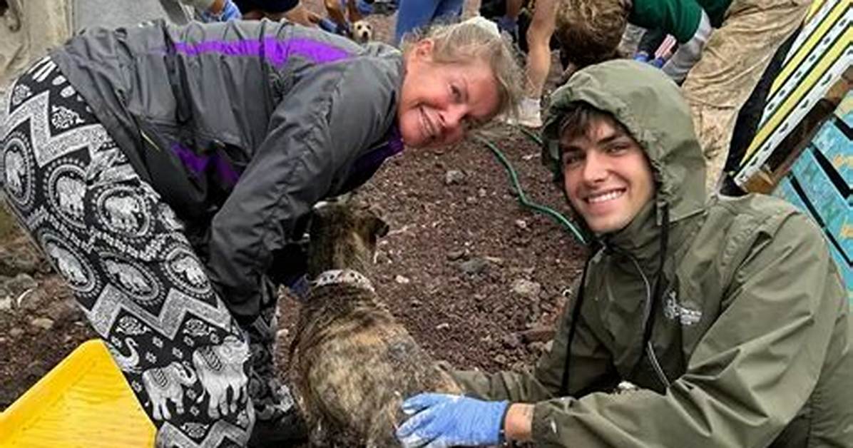 From Tiktok Sensation to Animal Cafe Controversies: the Rise of Capybara Ownership