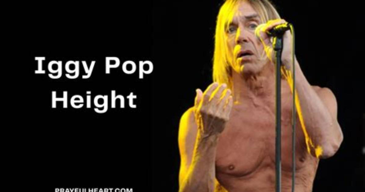 How Tall Is Iggy Pop Really? the Surprising Truth Behind the Godfather of Punk's Real Height