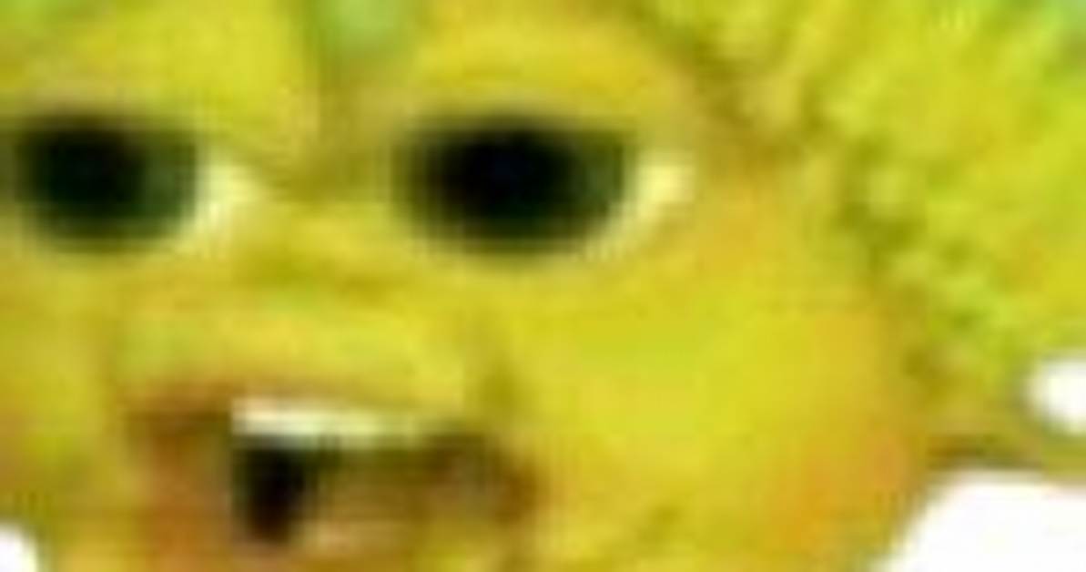 How the Fugu Fish Commodore Meme Took over Web Culture: Timeline & Spread