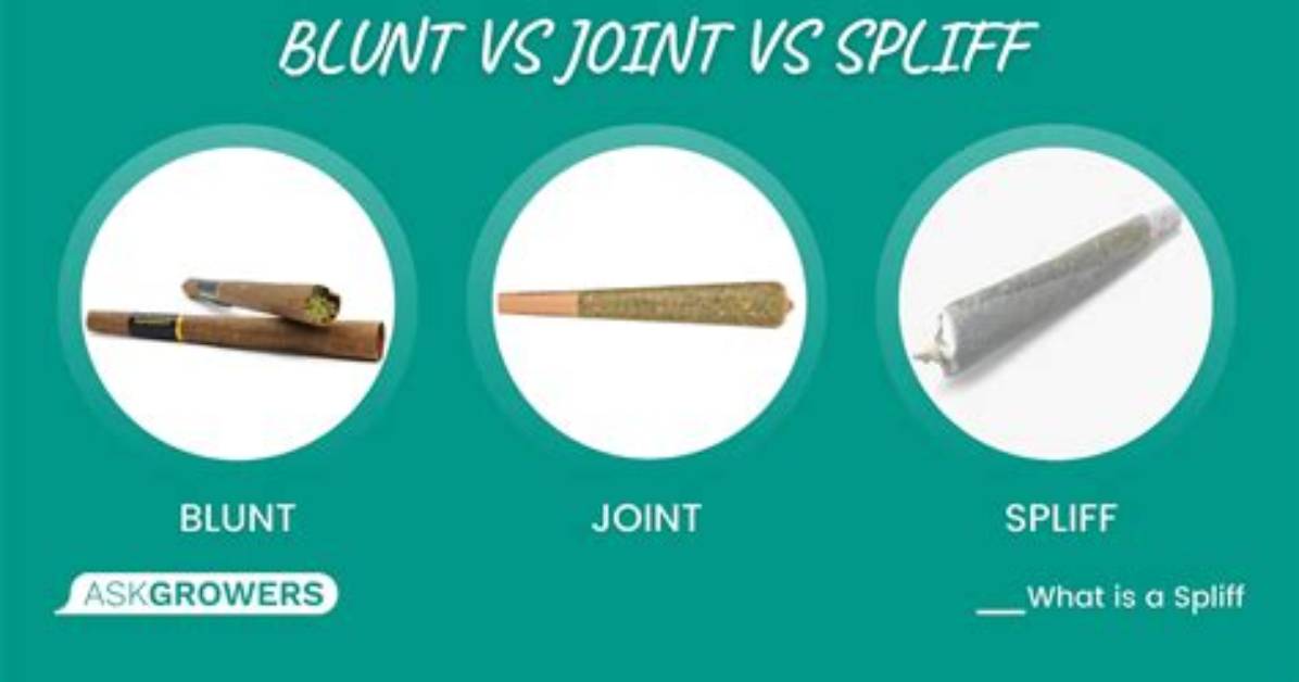 How to Make a Spliff: the Ultimate Beginner-to-Pro Guide for a Flawless Roll
