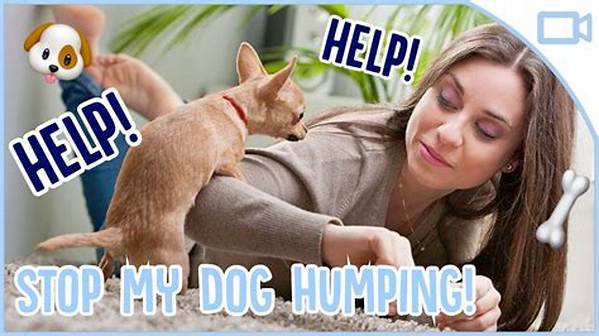 How to Stop Your Pet from Humping Legs: the Definitive Training and Health Guide